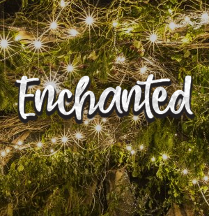 Enchanted Christmas Party